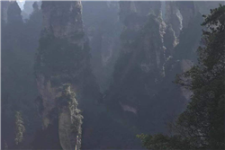 2019年暢世達年度旅游