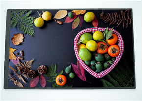 HSX101N31A-M27A液晶屏