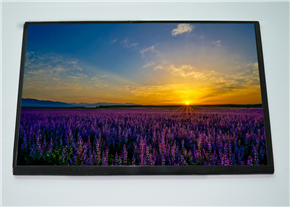 EJ101IA-01G液晶屏